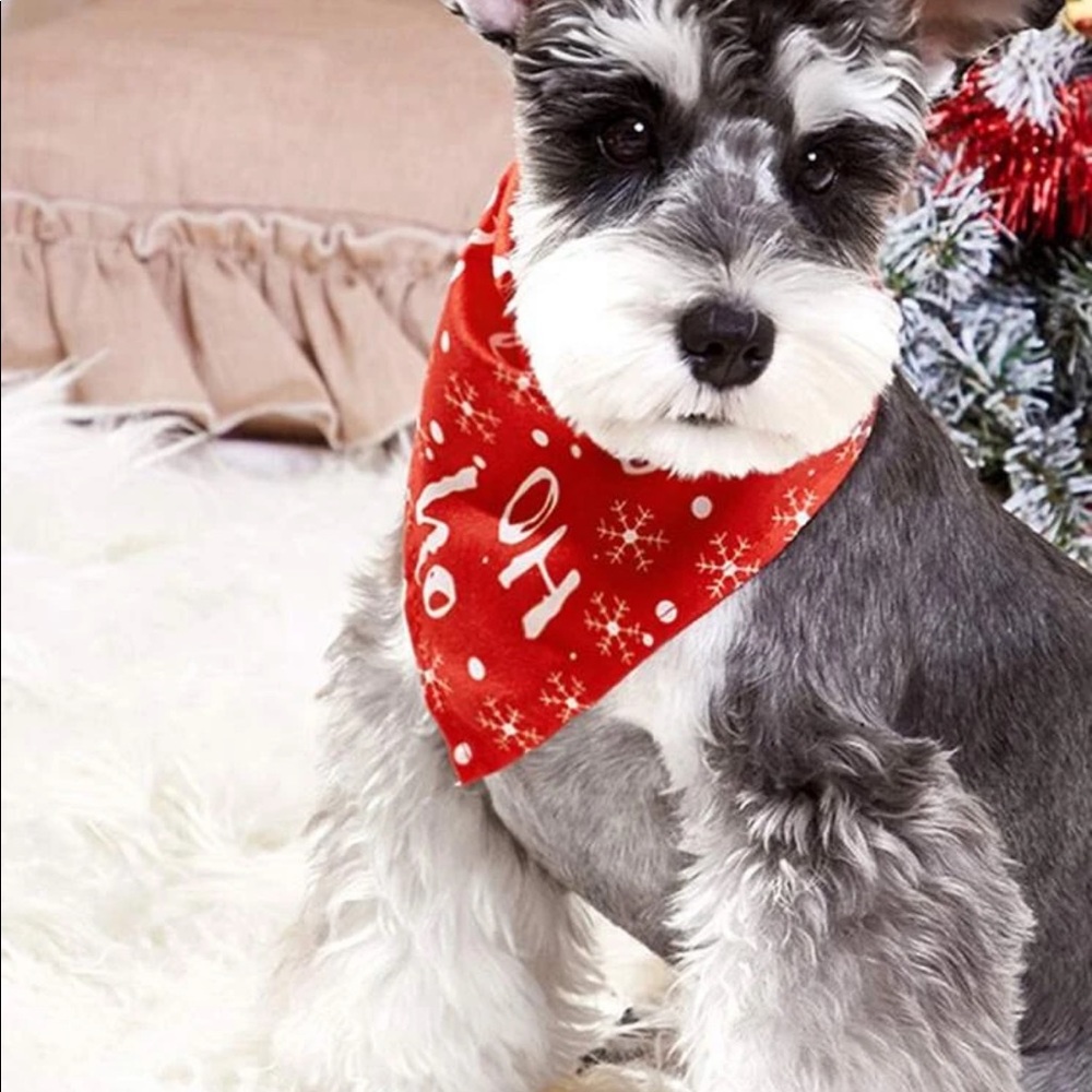 PET BANDANA - Picture 7 of 8